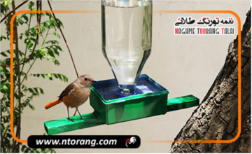 ساخت آبخوری در خانه برای پروش پرندگان خانگی